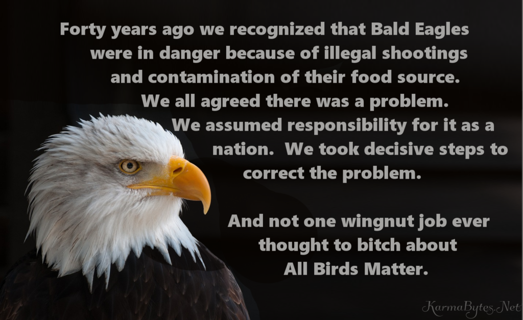 AllBirdsMatter