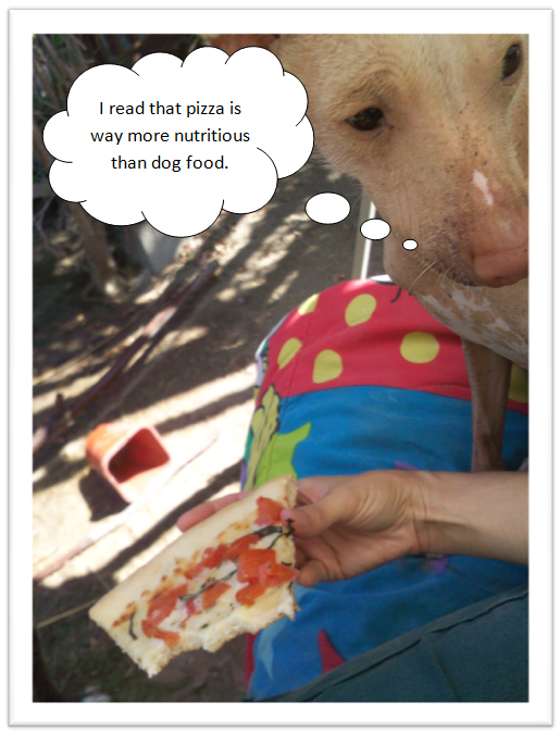 pizza persuasion 2