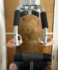 spuds